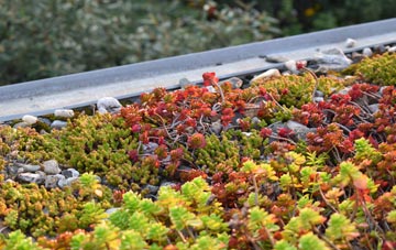 the cost of Tedburn St Mary green roof installation