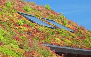 Tedburn St Mary living roof systems